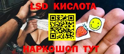 гидропоника Дубна