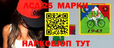 гидропоника Дубна