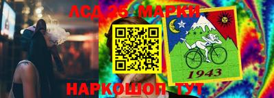 гидропоника Дубна