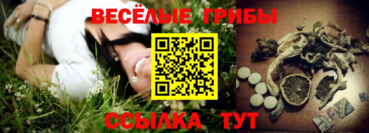 Псилоцибиновые грибы Magic Shrooms Магнитогорск
